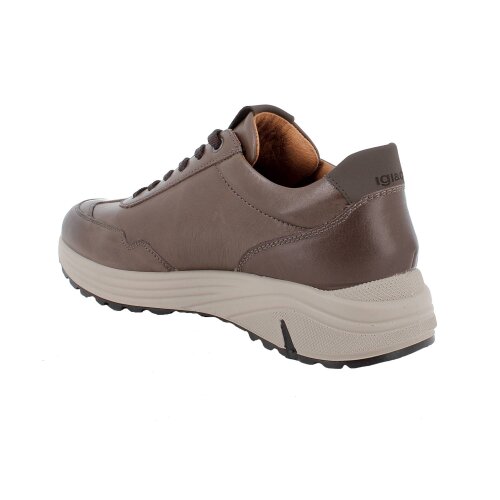 IGI&CO  sneakers CAFFE'