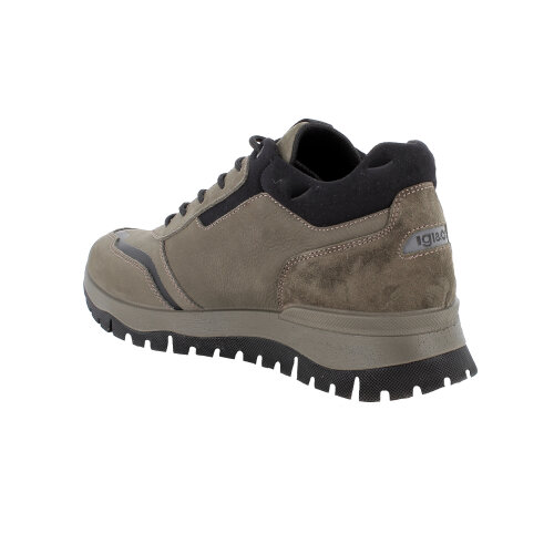IGI&CO sneakers BOSCO