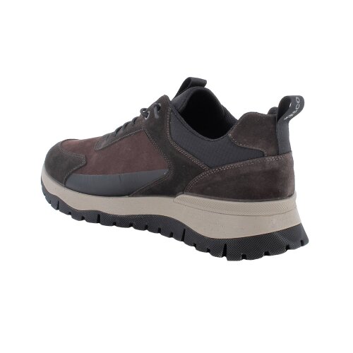 IGI&CO  sneakers CAFFE'