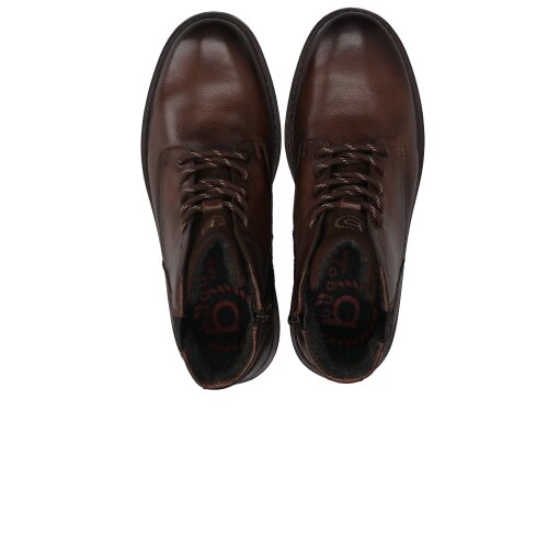 bugatti Veda Evo brown